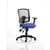 Portland III Black Mesh Back Bespoke Colour Seat Stevia Blue